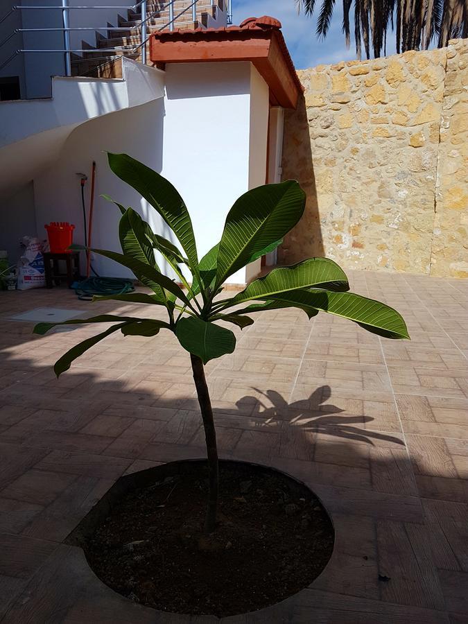 Aksaray Boutique Hotel Nicosia Exteriör bild